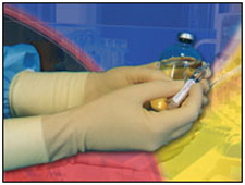 Gloves, Latex, Powder Free, BoxedCT International